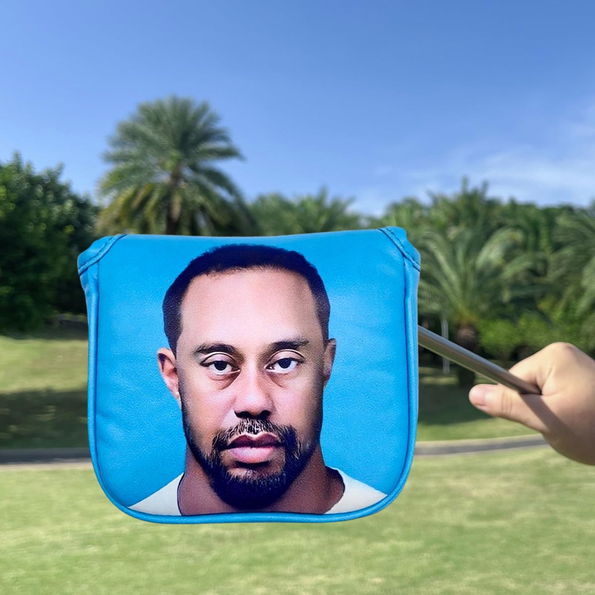 Funny Golf Mallet Putter Head  - огляд і ціна Women'S Golf Accessories